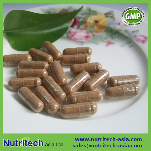 Shiitake Mushroom Extract Capsule